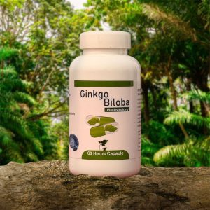 Ginko Biloba